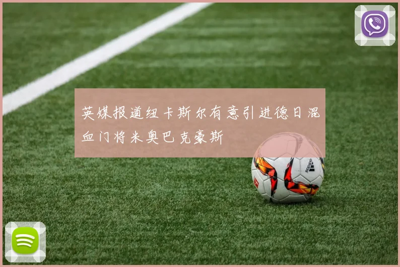 英媒报道纽卡斯尔有意引进德日混血门将米奥巴克豪斯