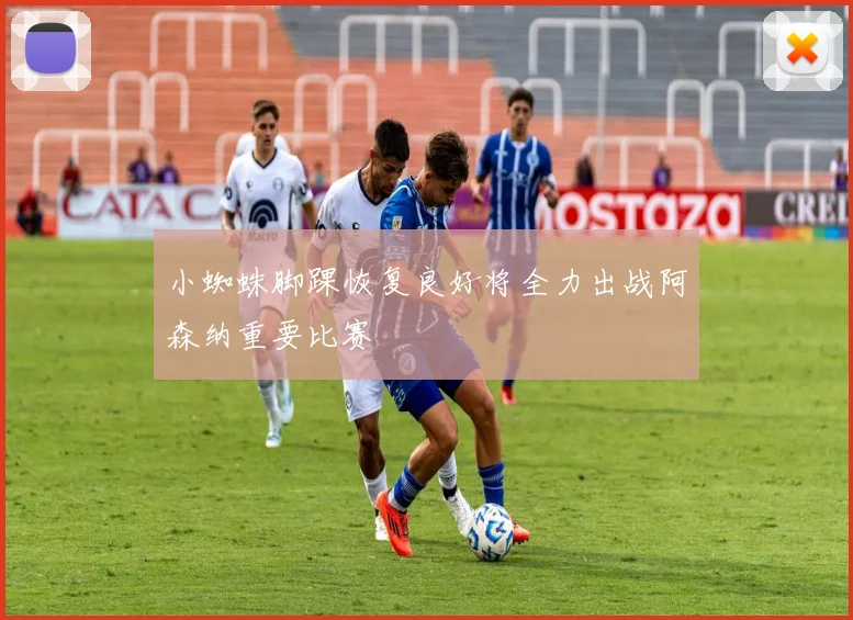 小蜘蛛脚踝恢复良好将全力出战阿森纳重要比赛