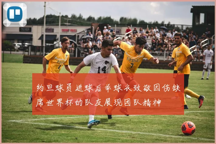 约旦球员进球后举球衣致敬因伤缺席世界杯的队友展现团队精神